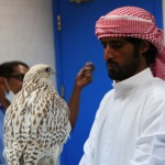 Falcon Hospital - Abu Dhabi