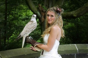 Falconry Weddings