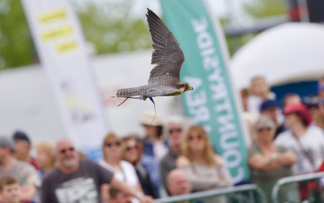 Nottinghamshire County Show